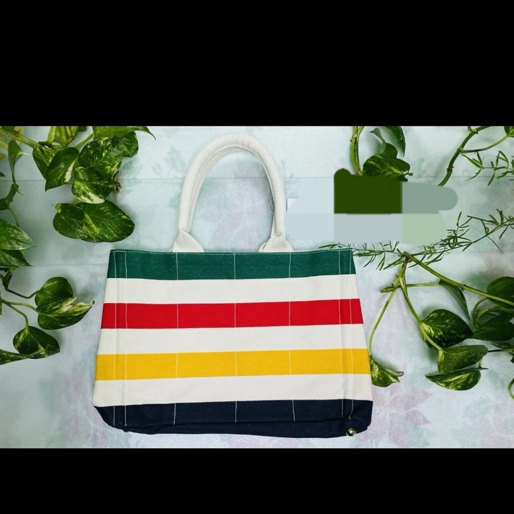 Hudson Bay Company Striped Multicolor Tote Bag